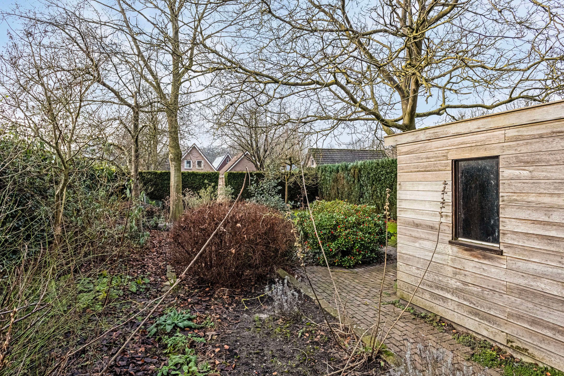 Foto 48 van Torenstraat 24