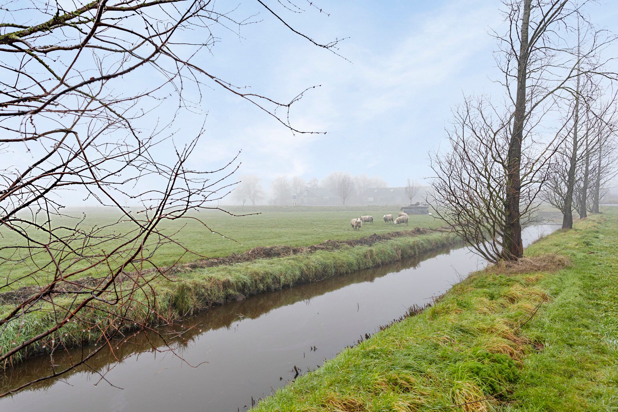 Foto 6 van Sjaerdawei 25