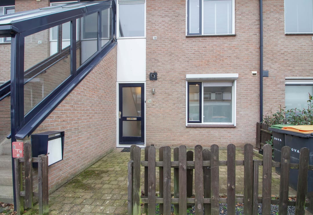 Foto 2 van Scholekster 36