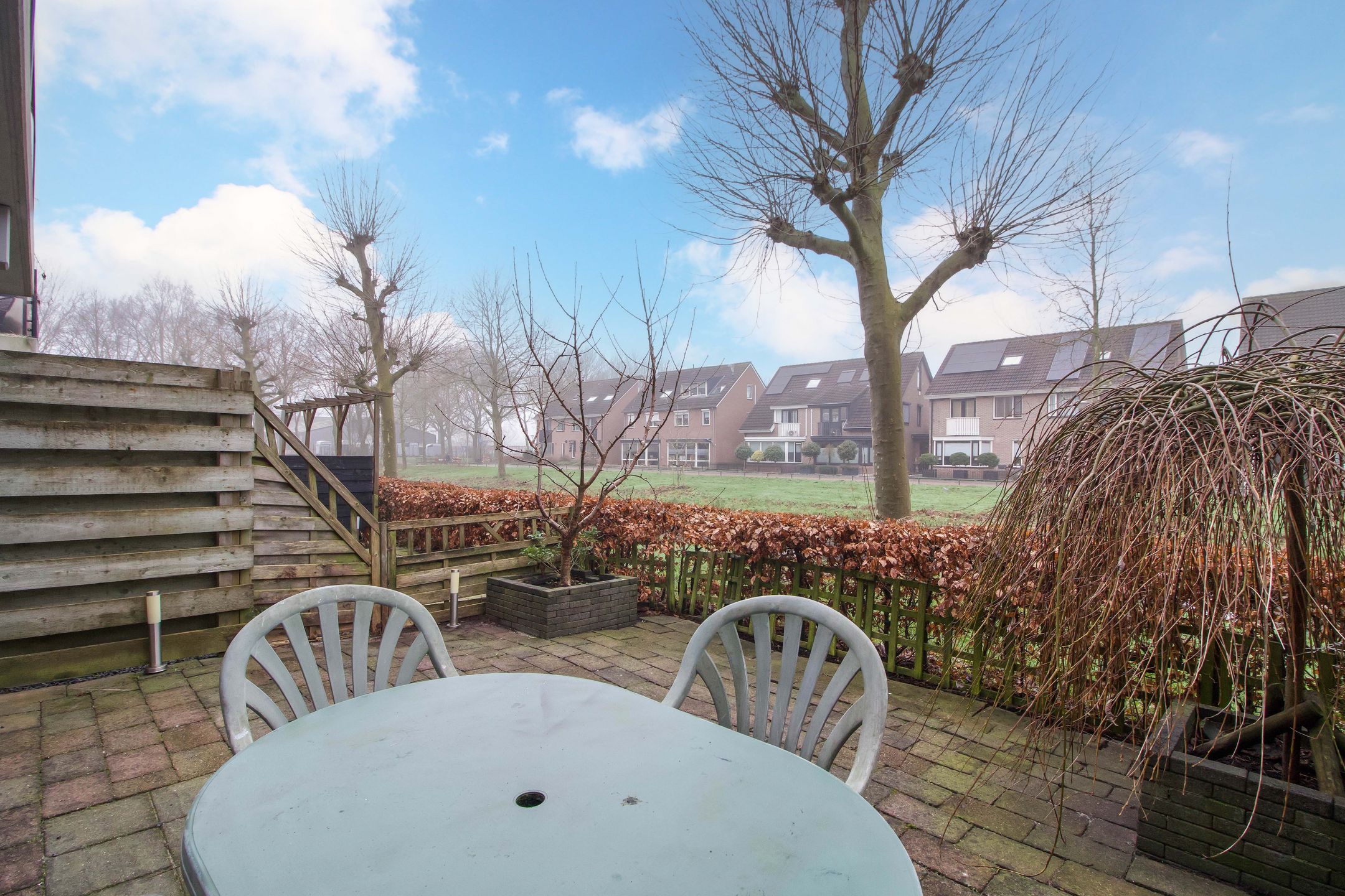 Foto 24 van Scholekster 36