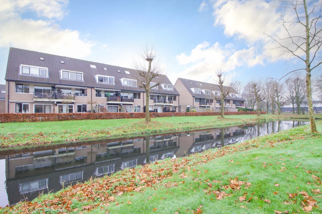 Foto 31 van Scholekster 36