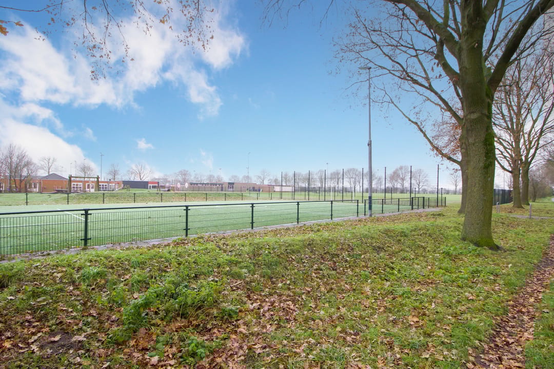 Foto 32 van Scholekster 36