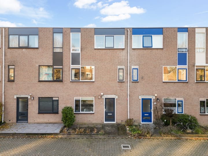 Foto 1 van Goudplevier 33