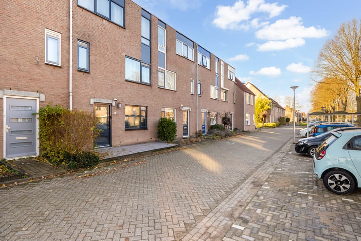 Foto 6 van Goudplevier 33