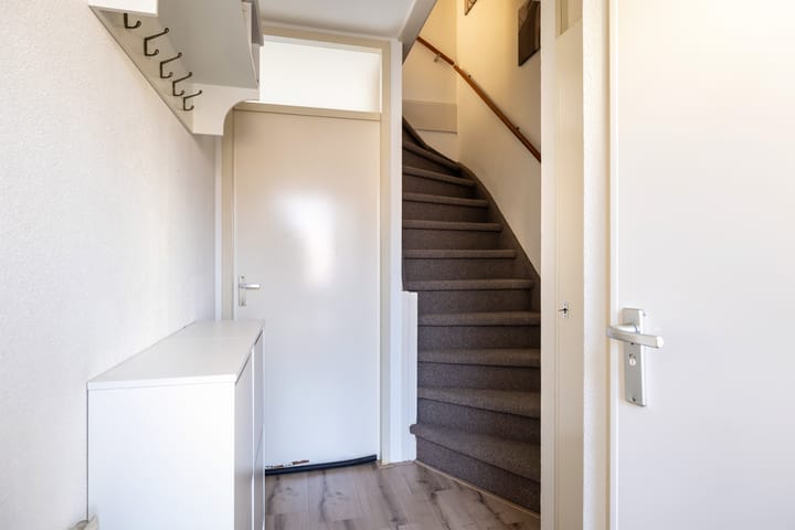 Foto 7 van Goudplevier 33