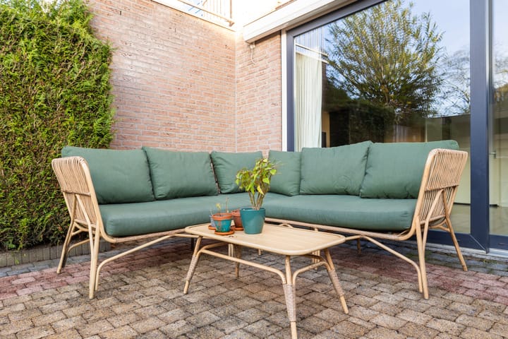 Foto 18 van Goudplevier 33