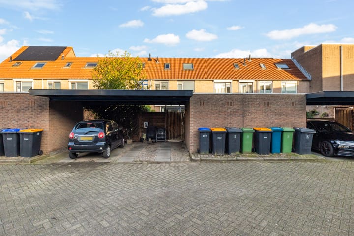 Foto 21 van Goudplevier 33