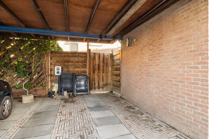 Foto 22 van Goudplevier 33