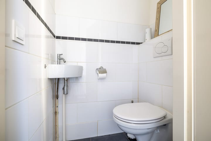 Foto 24 van Goudplevier 33