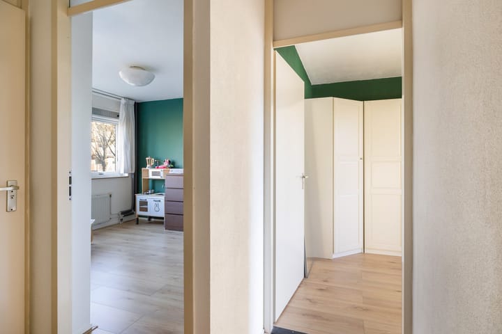 Foto 25 van Goudplevier 33