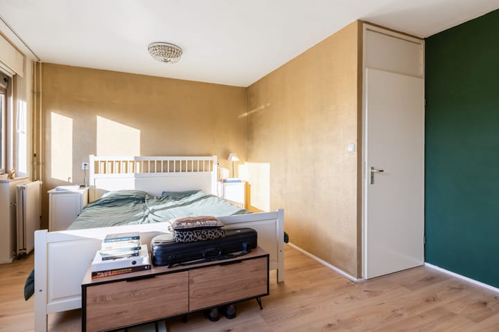 Foto 27 van Goudplevier 33