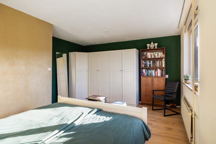 Foto 28 van Goudplevier 33