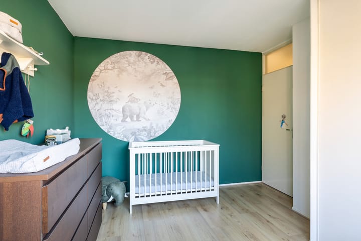 Foto 30 van Goudplevier 33