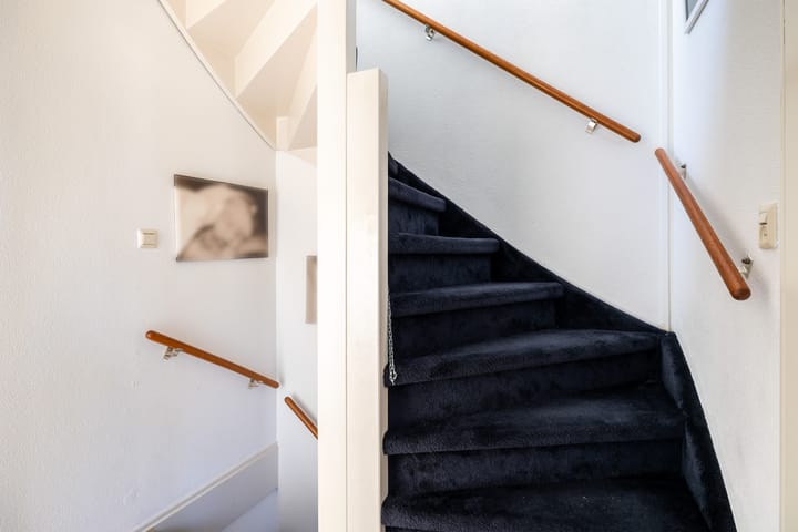 Foto 33 van Goudplevier 33