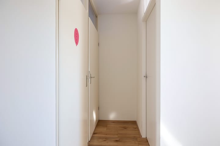 Foto 35 van Goudplevier 33