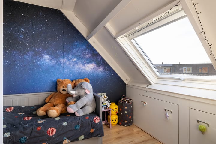 Foto 36 van Goudplevier 33