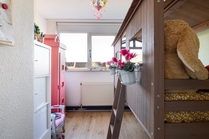 Foto 38 van Goudplevier 33