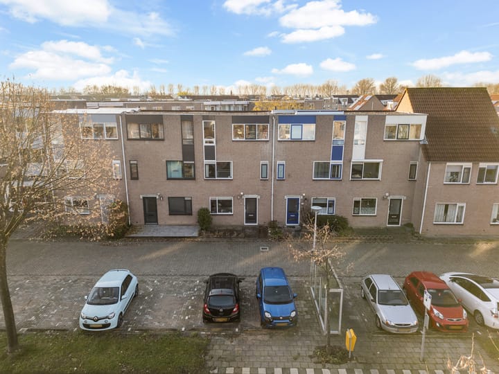 Foto 41 van Goudplevier 33