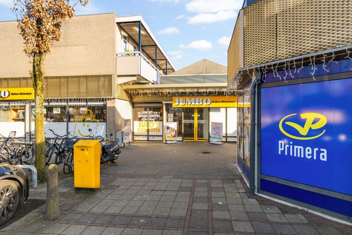 Foto 43 van Goudplevier 33