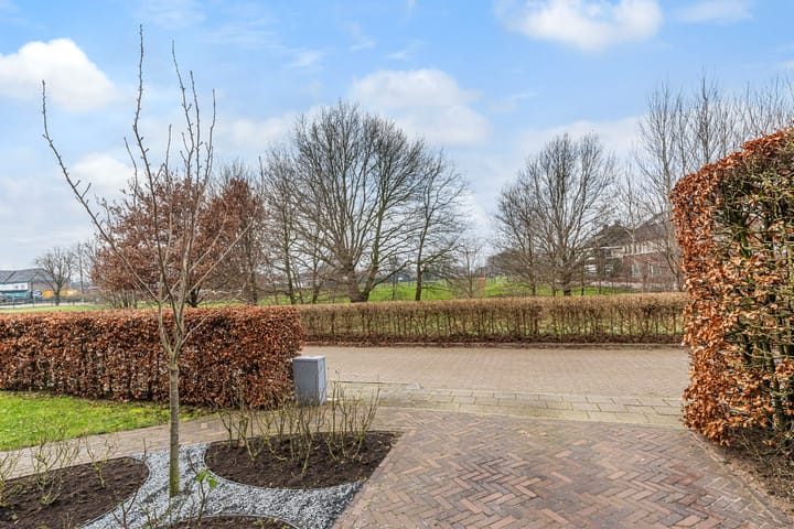 Foto 4 van Boterbloem 28