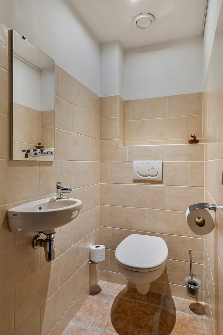 Foto 3 van Steltlopen 13