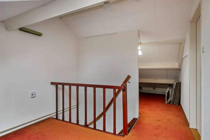 Foto 27 van Steltlopen 13