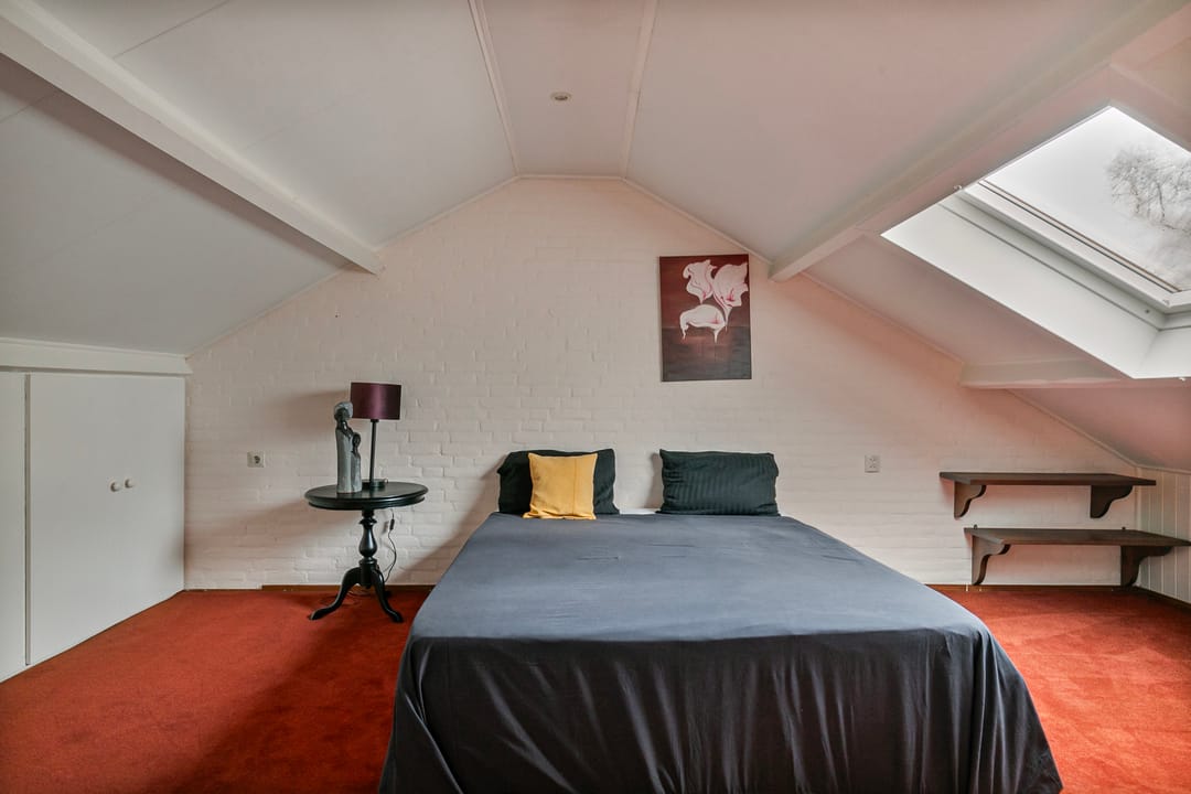 Foto 28 van Steltlopen 13