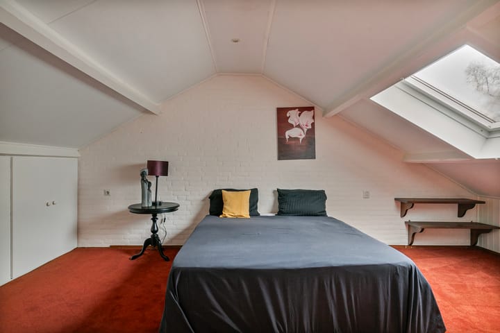 Foto 28 van Steltlopen 13