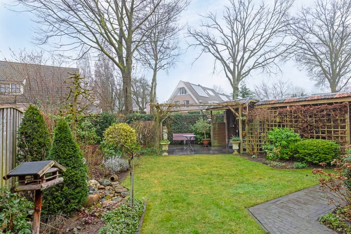 Foto 30 van Steltlopen 13