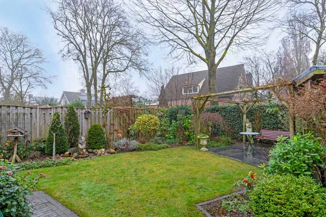 Foto 31 van Steltlopen 13