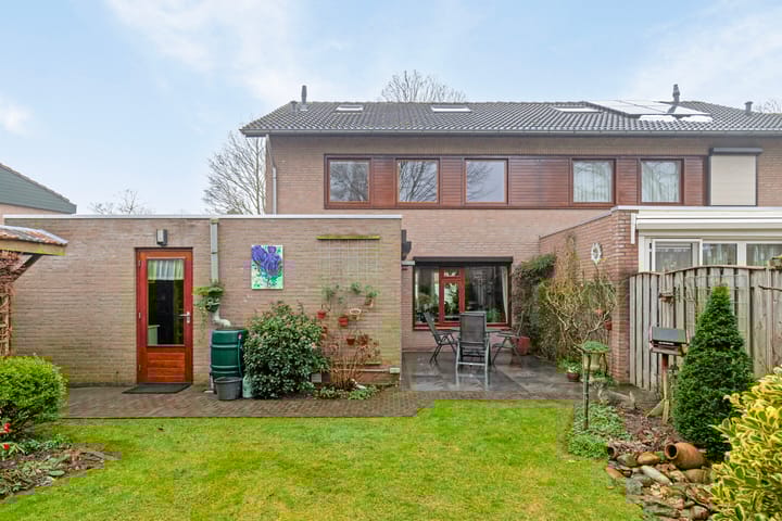 Foto 32 van Steltlopen 13