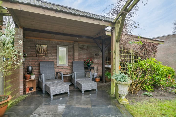 Foto 33 van Steltlopen 13