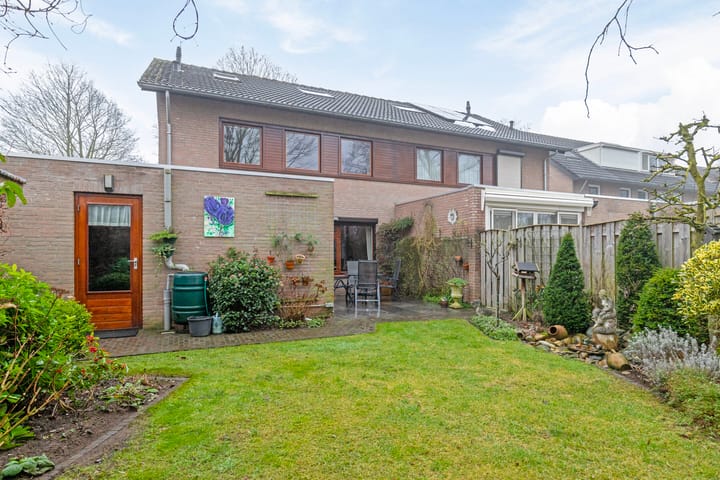 Foto 34 van Steltlopen 13