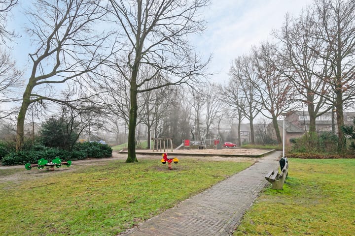 Foto 35 van Steltlopen 13