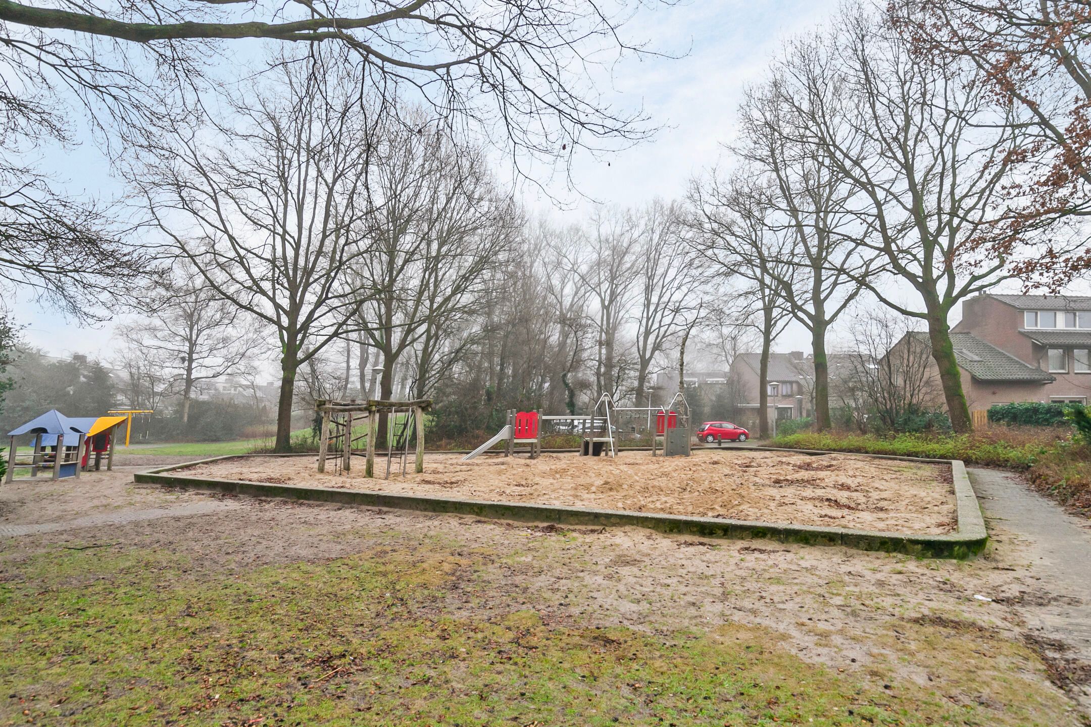 Foto 36 van Steltlopen 13