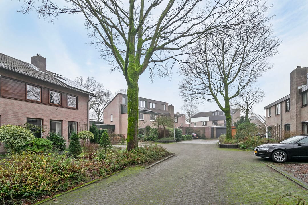 Foto 37 van Steltlopen 13