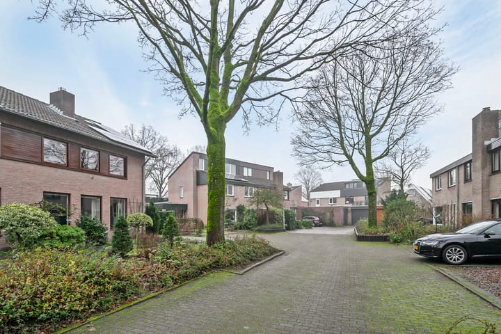 Foto 37 van Steltlopen 13