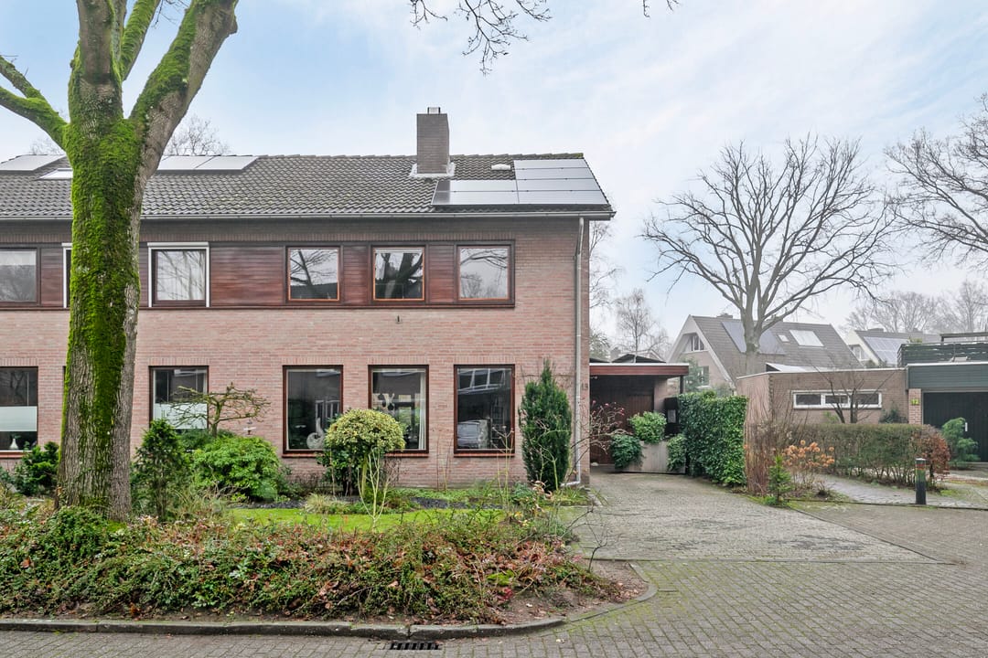 Foto 38 van Steltlopen 13