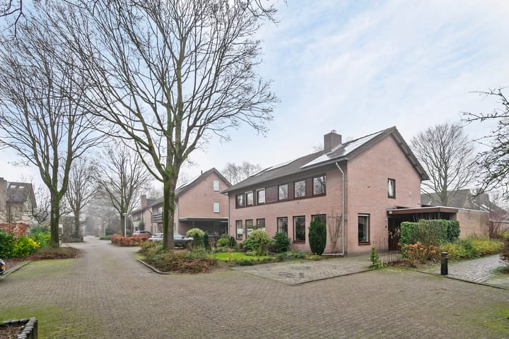 Foto 39 van Steltlopen 13