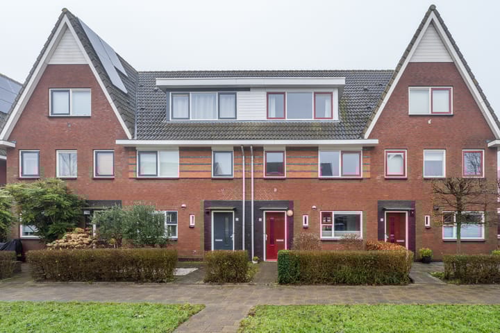 Foto 1 van Kamgras 3