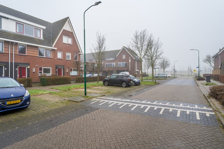 Foto 38 van Kamgras 3