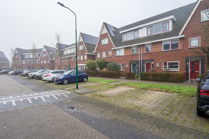 Foto 39 van Kamgras 3