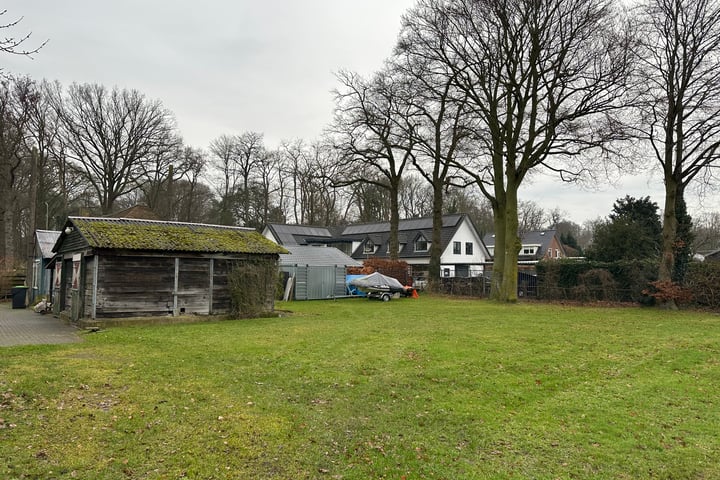 Foto 1 van Oorijzer