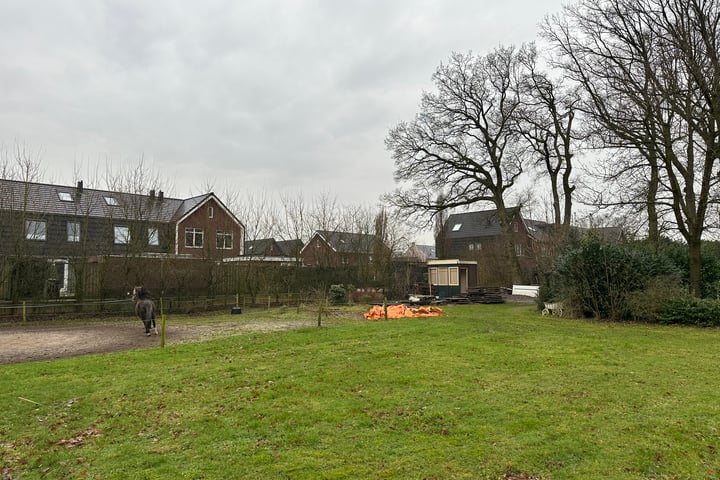 Foto 5 van Oorijzer