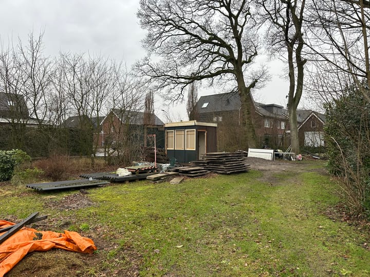 Foto 7 van Oorijzer