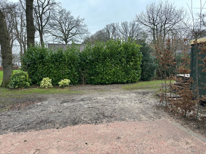 Photo 10 of Oorijzer