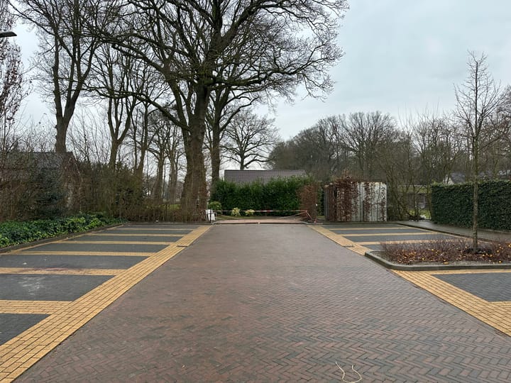 Photo 11 of Oorijzer