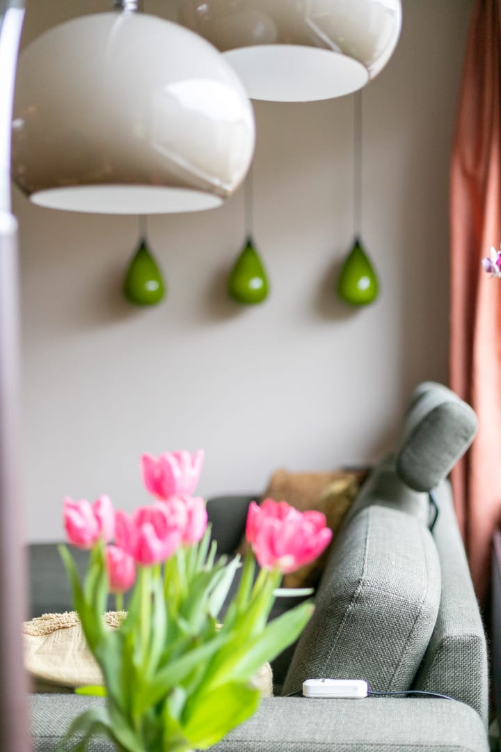 Foto 8 van Vestkant 119