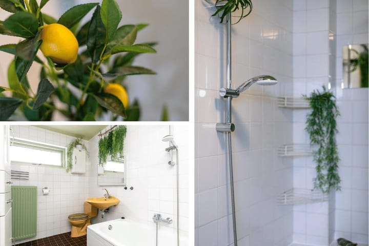 Foto 31 van Vestkant 119