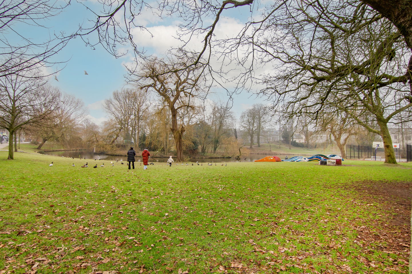 Foto 19 van Schotersingel 29-B